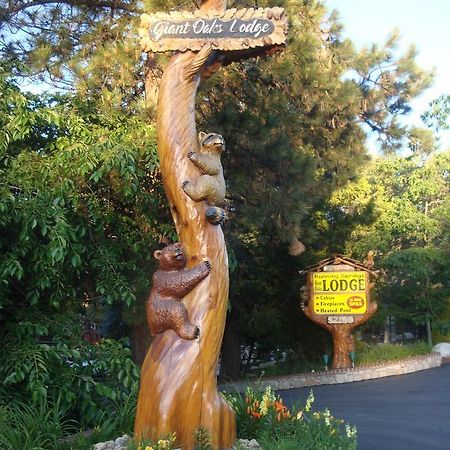 Giant Oaks Lodge Running Springs エクステリア 写真